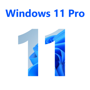 Windows 11 Pro - Retail